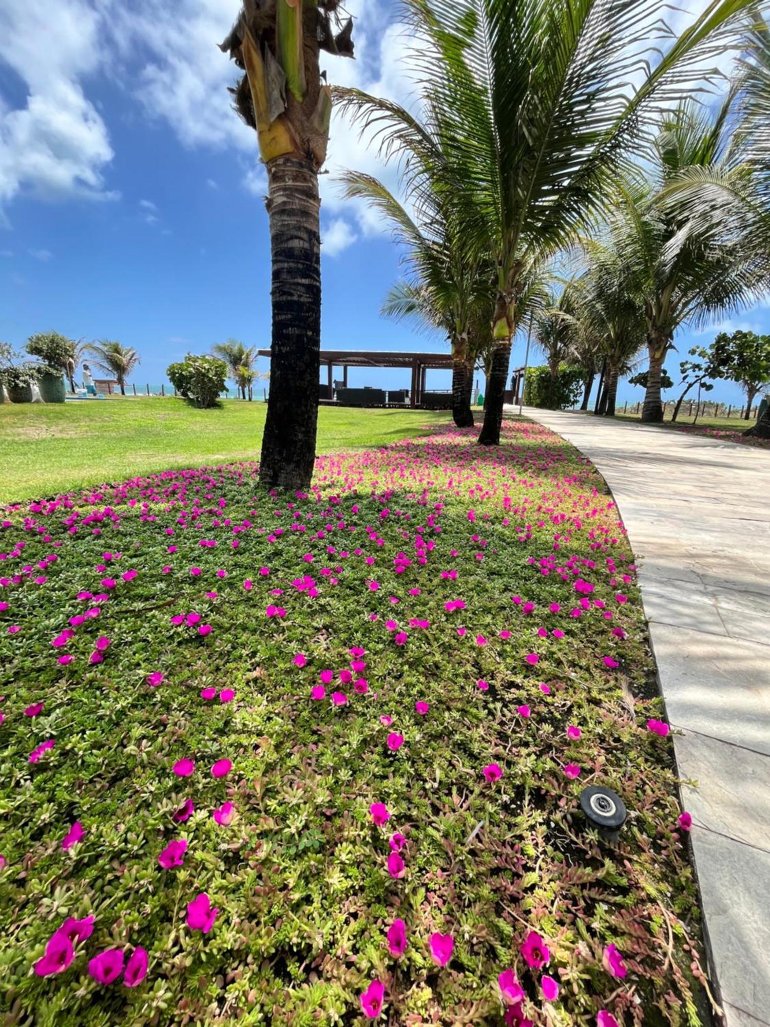Resort Beira Mar Em Porto De Galinhas - Cupe Beach Living エクステリア 写真